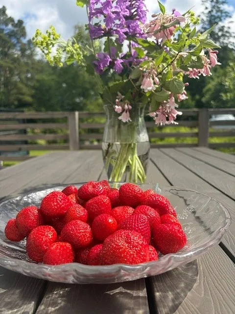 Jordgubbar på ett glasfat i solen, men blombukett i bakgrunden
